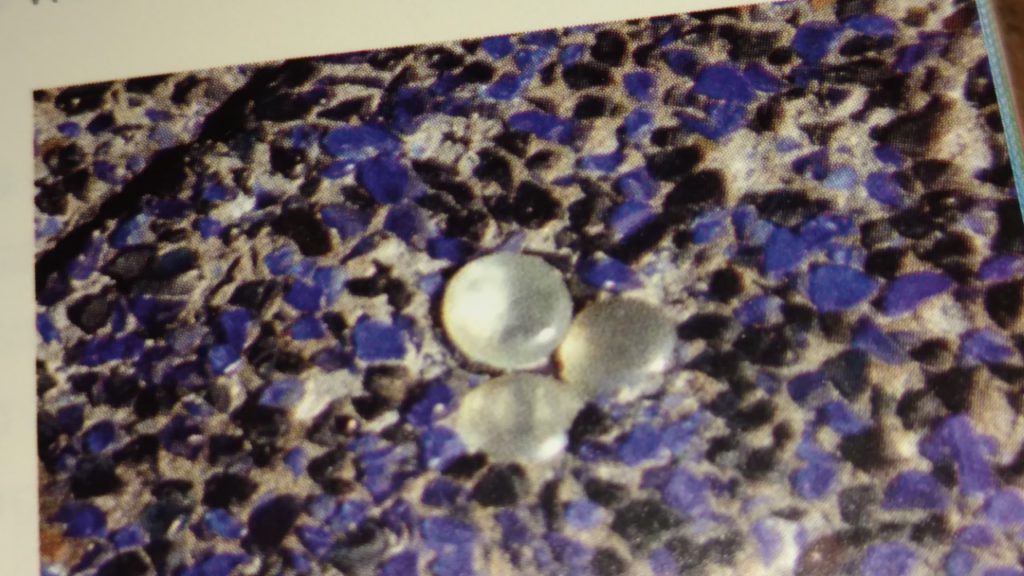HiddenMickey2
